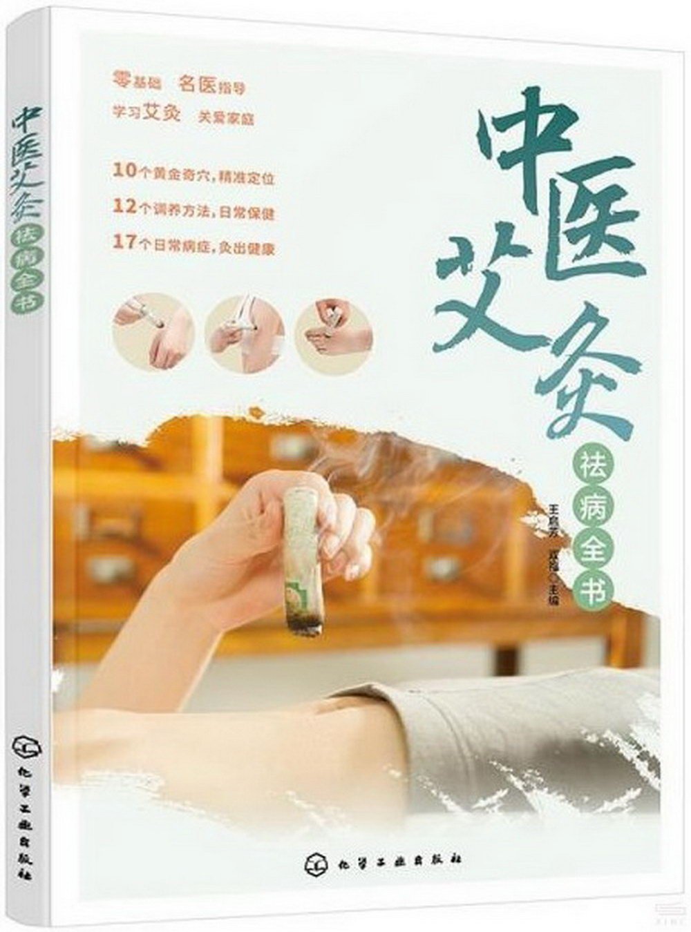 中醫艾灸祛病全書