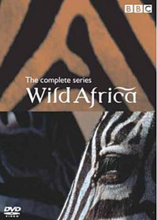 野性非洲 DVD