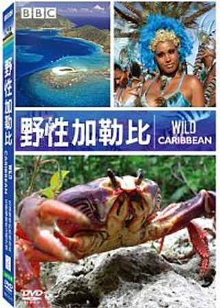 野性加勒比 DVD