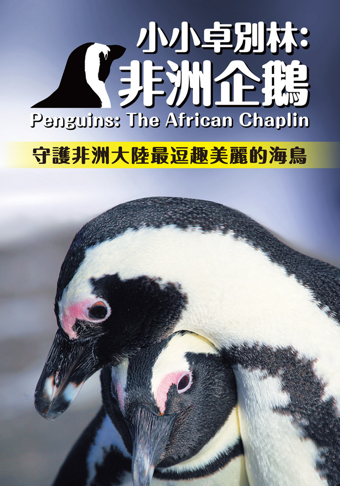 小小卓別林：非洲企鵝 (DVD)