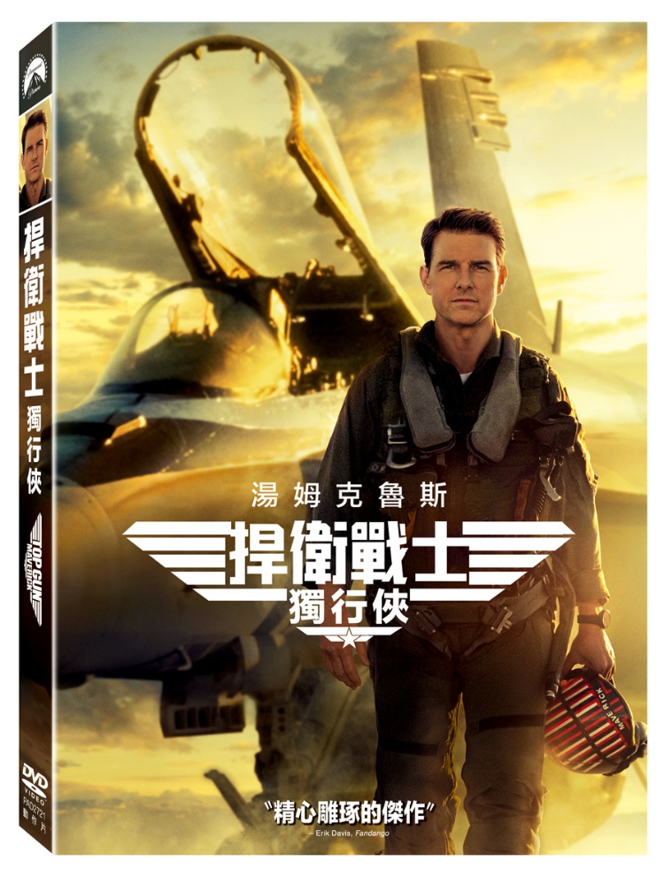 捍衛戰士: 獨行俠 (DVD)