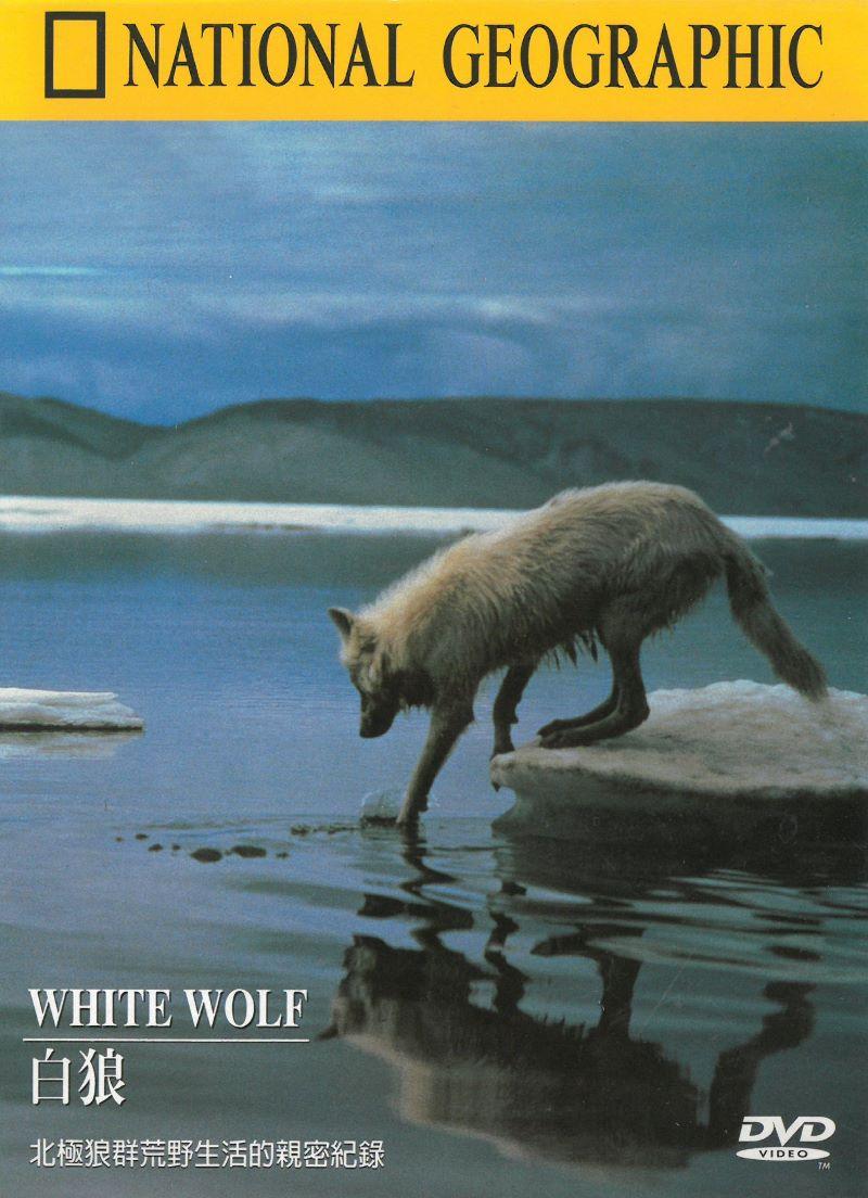 國家地理頻道(038)白狼DVD