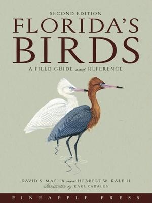 Florida’s Birds: A Field Guide And Reference