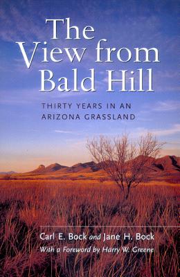 The View from Bald Hill: Thirty Years in an Arizona Grassland