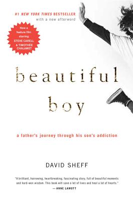 Beautiful Boy: A Father’s Journey Through His Son’s Addiction