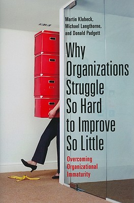 Why Organizations Struggle So Hard to Improve So Little: Overcoming Organizational Immaturity