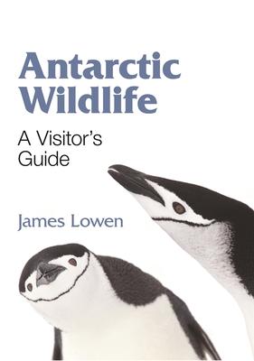 Antarctic Wildlife: A Visitor’s Guide