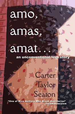 Amo, Amas, Amat...: An Unconventional Love Story