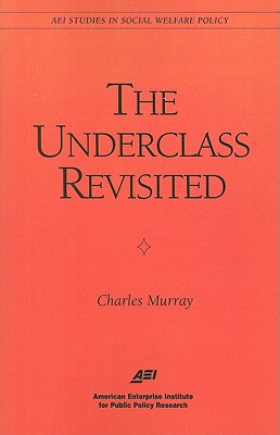 The Underclass Revisited