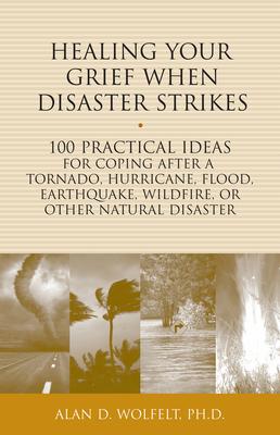 Healing Your Grief When Disaster Strikes: 100 Practical Ideas for Coping After a Tornado, Hurricane, Flood, Earthquake, Wildfire
