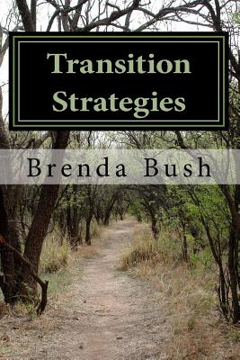 Transition Strategies: An Aid in Transitioning from the Military to Civilian Life