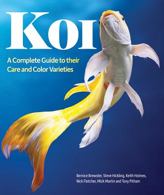 Koi: A Complete Guide to Their Care and Color Varieties
