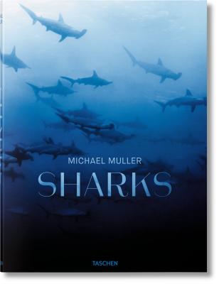 Sharks: Face-to Face with the Ocean’s Endangered Predator