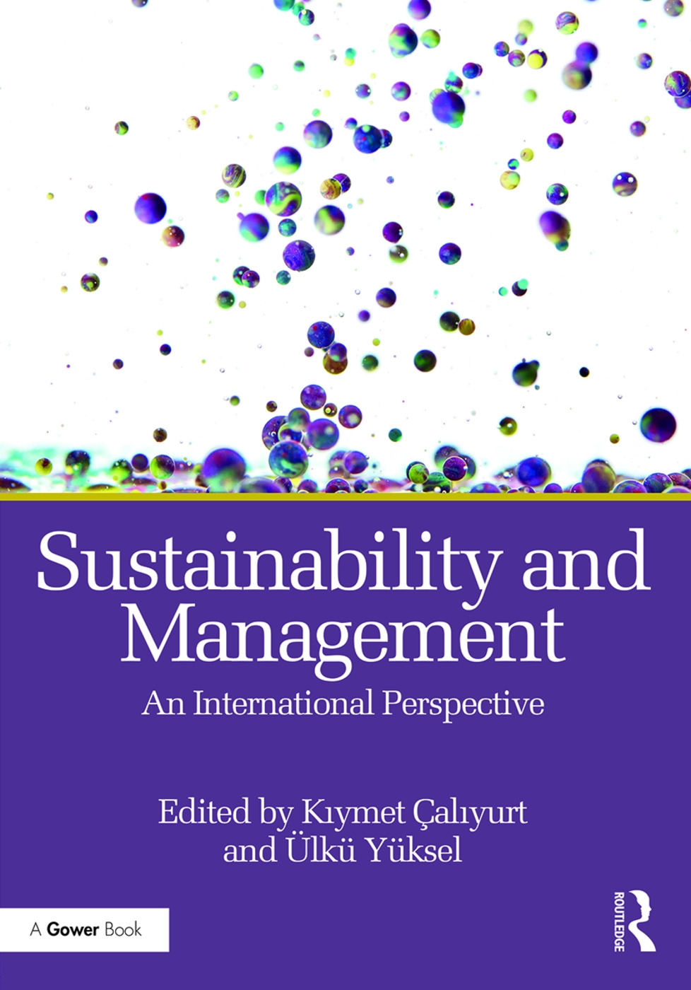 Sustainability and Management: An International Perspective