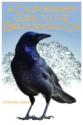 A Californian’s Guide to the Birds Among Us