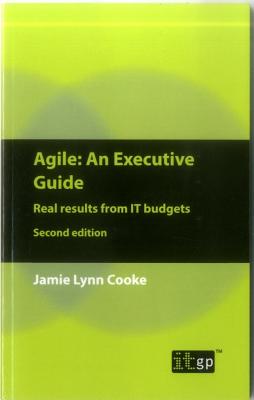 Agile: An Executive Guide: Real Results from It Budgets