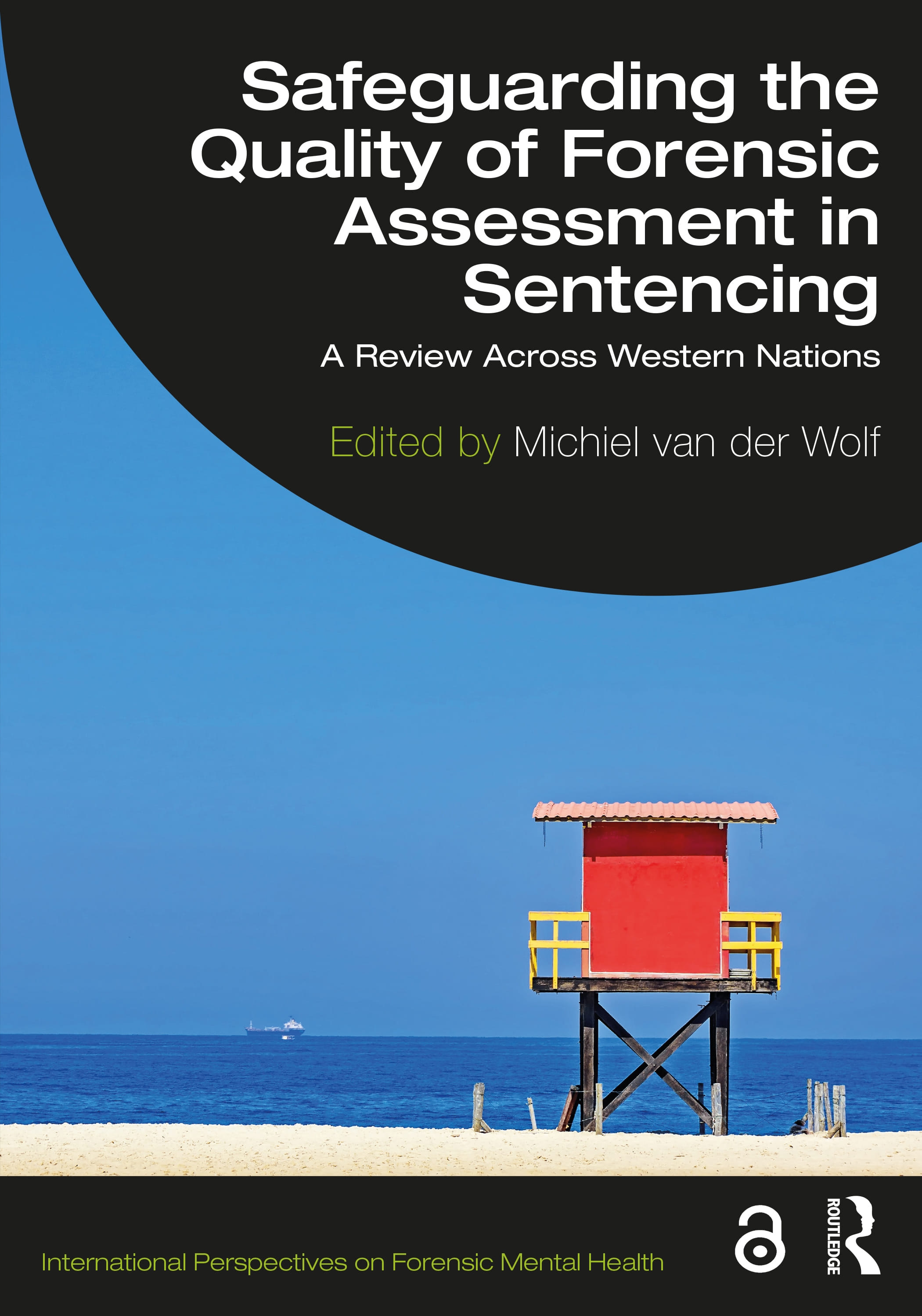 Safeguarding Forensic Violence Risk Assessment: A Review Across Western Nations