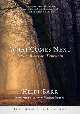 What Comes Next: Between Beauty and Destruction