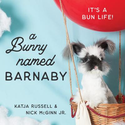 A Bunny Named Barnaby: It’s a Bun Life