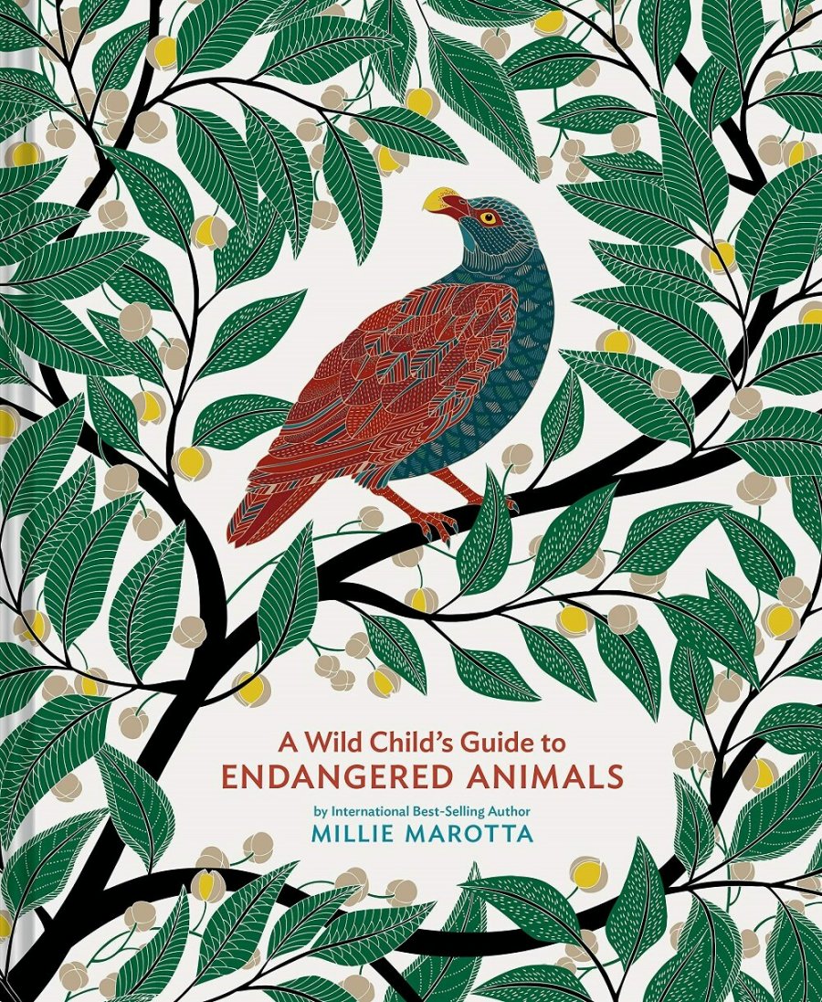 A Wild Child’s Guide to Endangered Animals