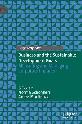 Business and the Sustainable Development Goals: Measuring and Managing Corporate Impacts