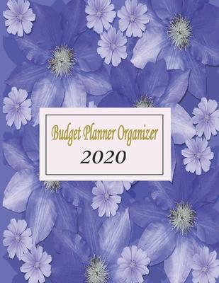budget planner 2020: 2020 Daily Weekly & Monthly Calendar Expense Tracker Organizer For Budget Planner And Financial Planner Workbook ( Bil