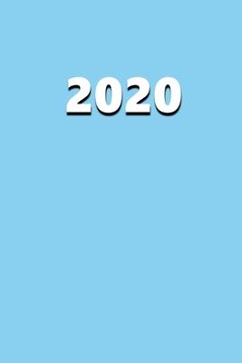 2020 Daily Planner 2020 Baby Blue Color 384 Pages: 2020 Planners Calendars Organizers Datebooks Appointment Books Agendas