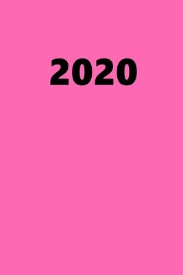 2020 Daily Planner 2020 Hot Pink Color 384 Pages: 2020 Planners Calendars Organizers Datebooks Appointment Books Agendas