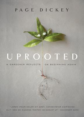 Uprooted: A Gardener Reflects on Beginning Again