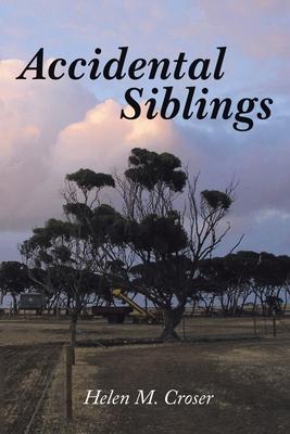 Accidental Siblings: Family Connections (New Edition)
