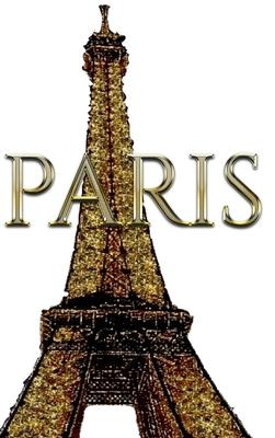 Paris Eiffel Tower Gold diamond Glitter Bling Creative blank journal sir Michael designer edition