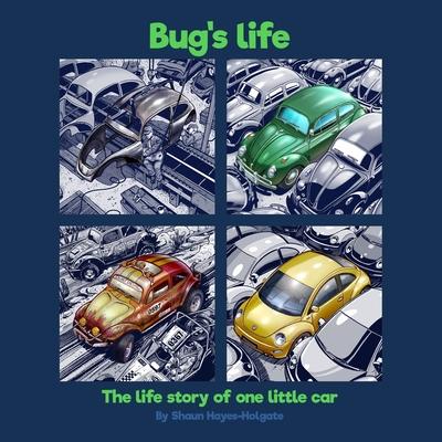 Bug’’s Life: The life story of one little car