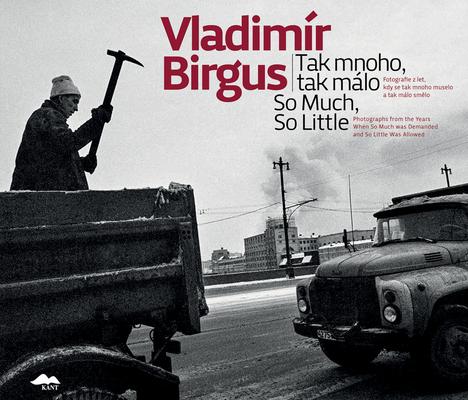 Vladimír Birgus: So Much, So Little