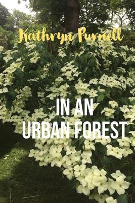 In an Urban Forest
