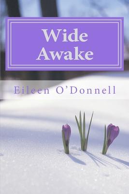 Wide Awake: The Enlightened Mind in the World