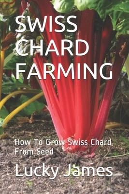 Swiss Chard Farming: How To Grow Swiss Chard From Seed