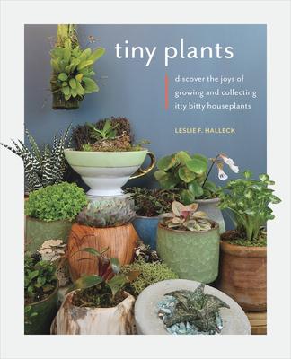 Tiny Plants: Discover the Joys of Growing and Collecting Itty Bitty Houseplants