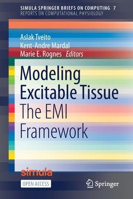 Modeling Excitable Tissue: The EMI Framework