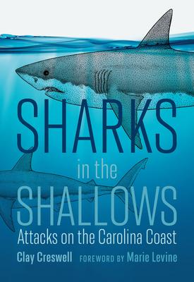 Sharks in the Shallows: Attacks on the Carolina Coast