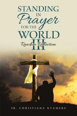 Standing In Prayer for the World III: Random Reflection