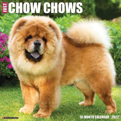 Just Chow Chows 2022 Wall Calendar