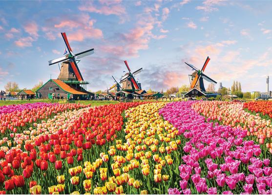 Windmills and Tulips 1000 Piece Jigsaw Puzzle