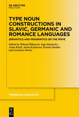 Type Noun Constructions in Slavic, Germanic and Romance Languages: Semantics and Pragmatics on the Move