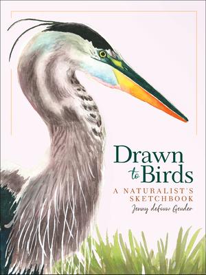 Drawn to Birds: A Naturalist’’s Sketchbook