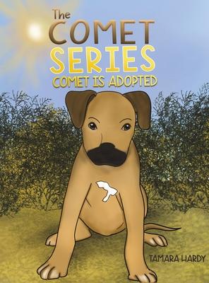 The Comet Series: Comet Is adopted