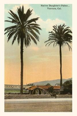 The Vintage Journal Native Daughter’s Palms, Ventura California