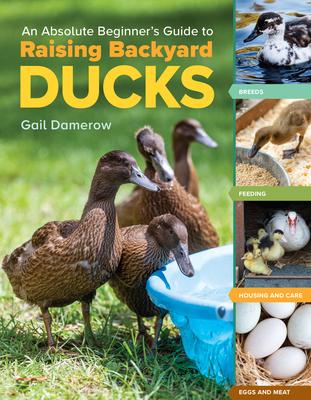 An Absolute Beginner’s Guide to Raising Backyard Ducks: Breeds, Housing & Feeding, Health Care, Eggs & Meat