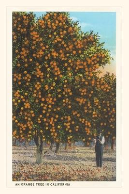 Vintage Journal Orange Grove