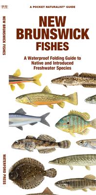 New Brunswick Fishes: A Waterproof Folding Guide to Familiar Species