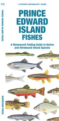 Prince Edward Island Fishes: A Waterproof Folding Guide to Familiar Species